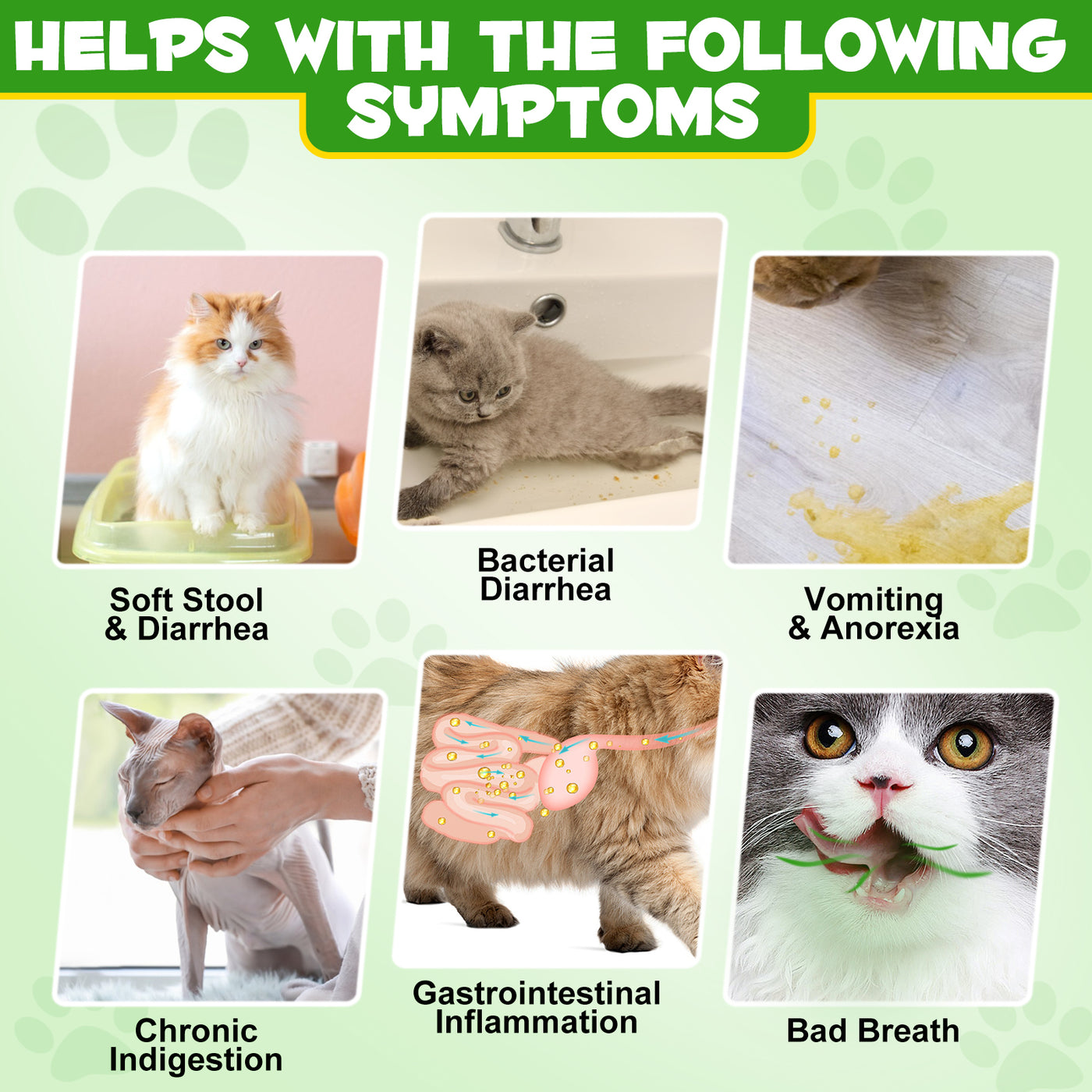 Oimmal Cat Probiotics Powder 120g - 2Pack