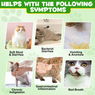 Oimmal Cat Probiotics Powder 120g - 1Pack