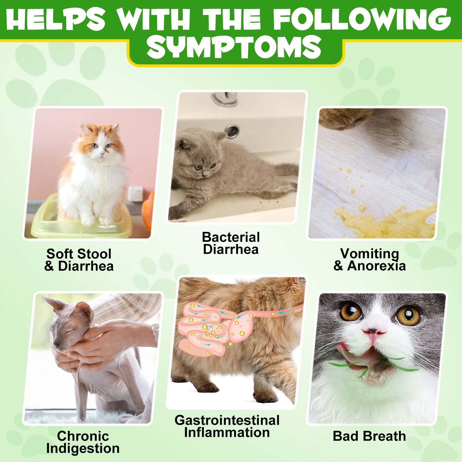 Oimmal Cat Probiotics Powder 120g - 1Pack