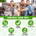 Oimmal Dog Probiotics Powder 120g - 2Pack