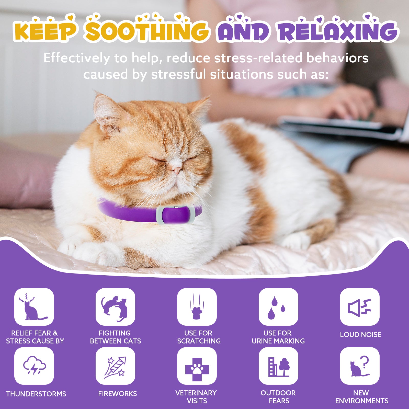 Oimmal Calming Collar for Cats - 2 Packs