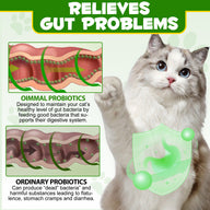 Oimmal Cat Probiotics Powder 120g - 1Pack
