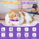 Oimmal Calming Collar for Cats