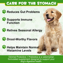 Oimmal Dog Probiotics Powder 120g - 1Pack