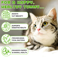 Oimmal Cats 3in1 Probiotic Drops - 1Pack