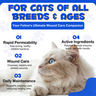 Oimmal Cat Wound Healing Aid Treatment Spray -100ml