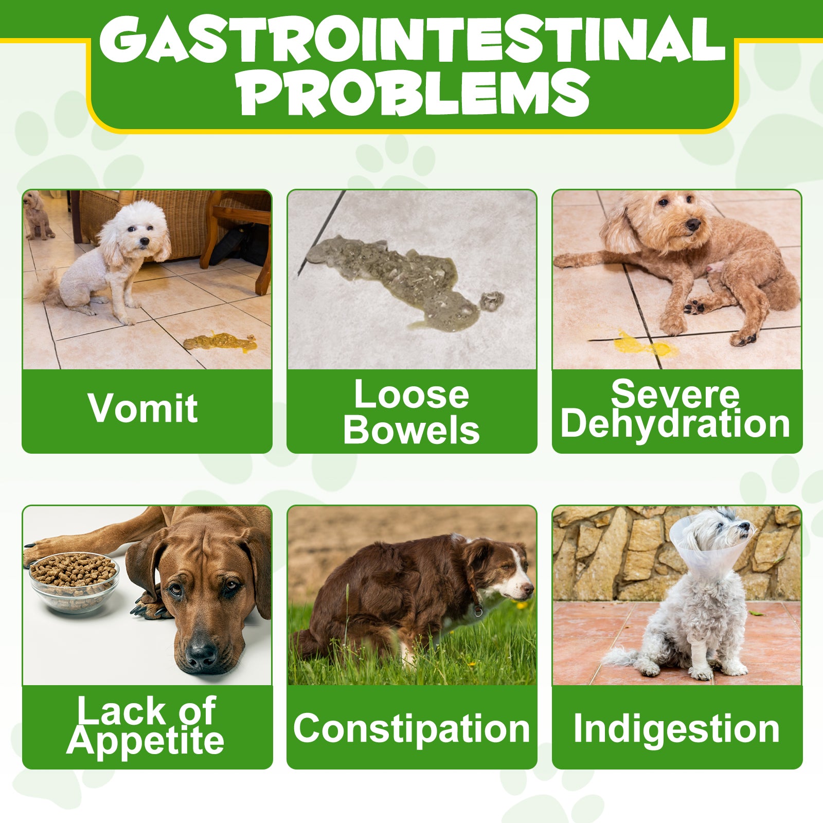 Oimmal Dog Probiotics Powder 120g - 2Pack