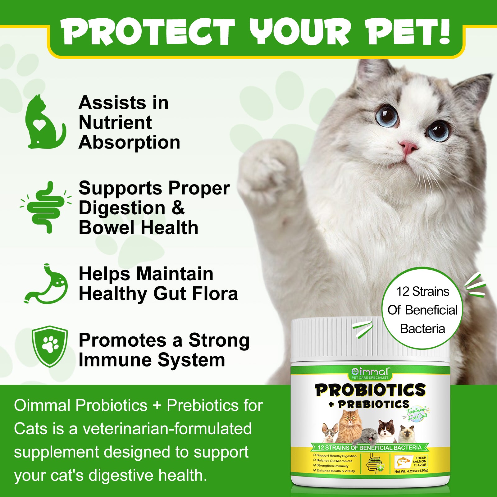 Oimmal Cat Probiotics Powder 120g - 2Pack