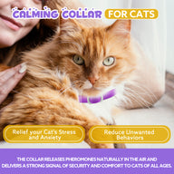 Oimmal Calming Collar for Cats - 2 Packs
