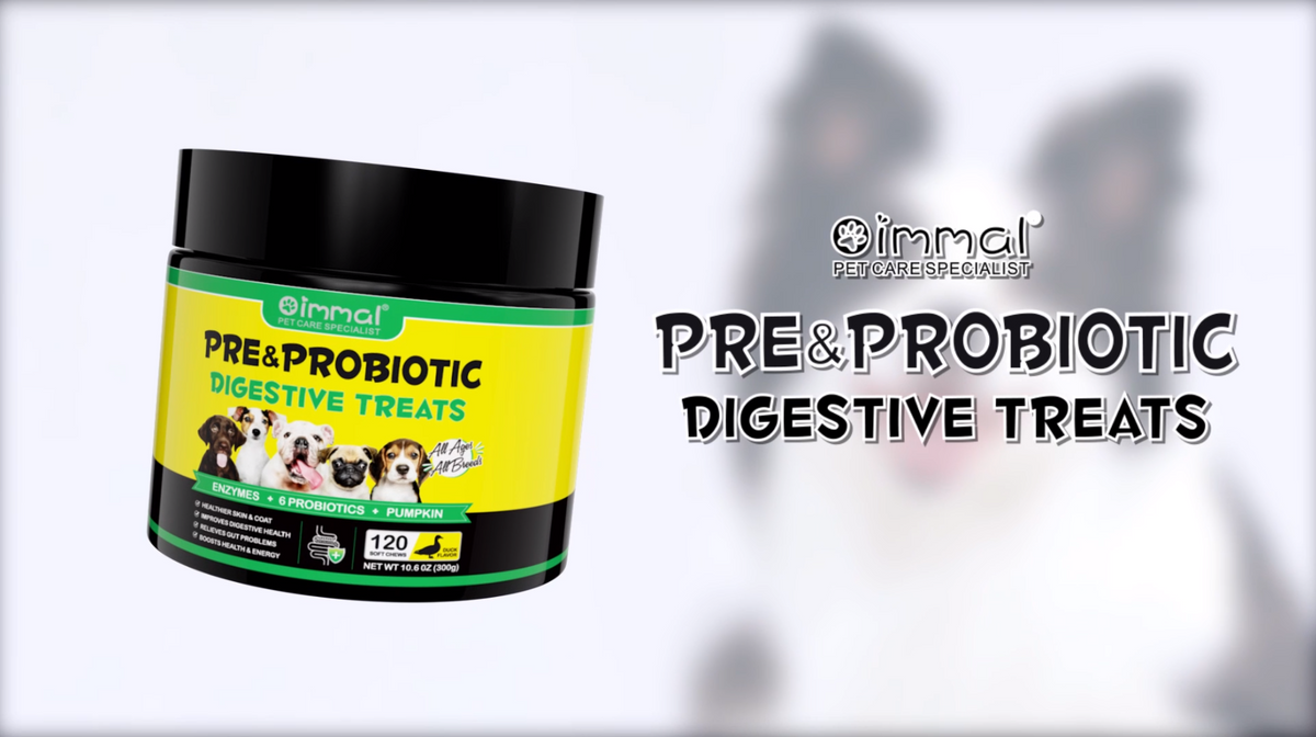🐕Oimmal Pre & Probiotic Digestive Chews🐕