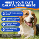 Oimmal Dog Taurine Powder - 1Pack