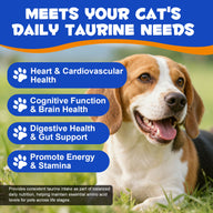 Oimmal Dog Taurine Powder - 1Pack