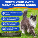 Oimmal Cat Taurine Powder - 1Pack