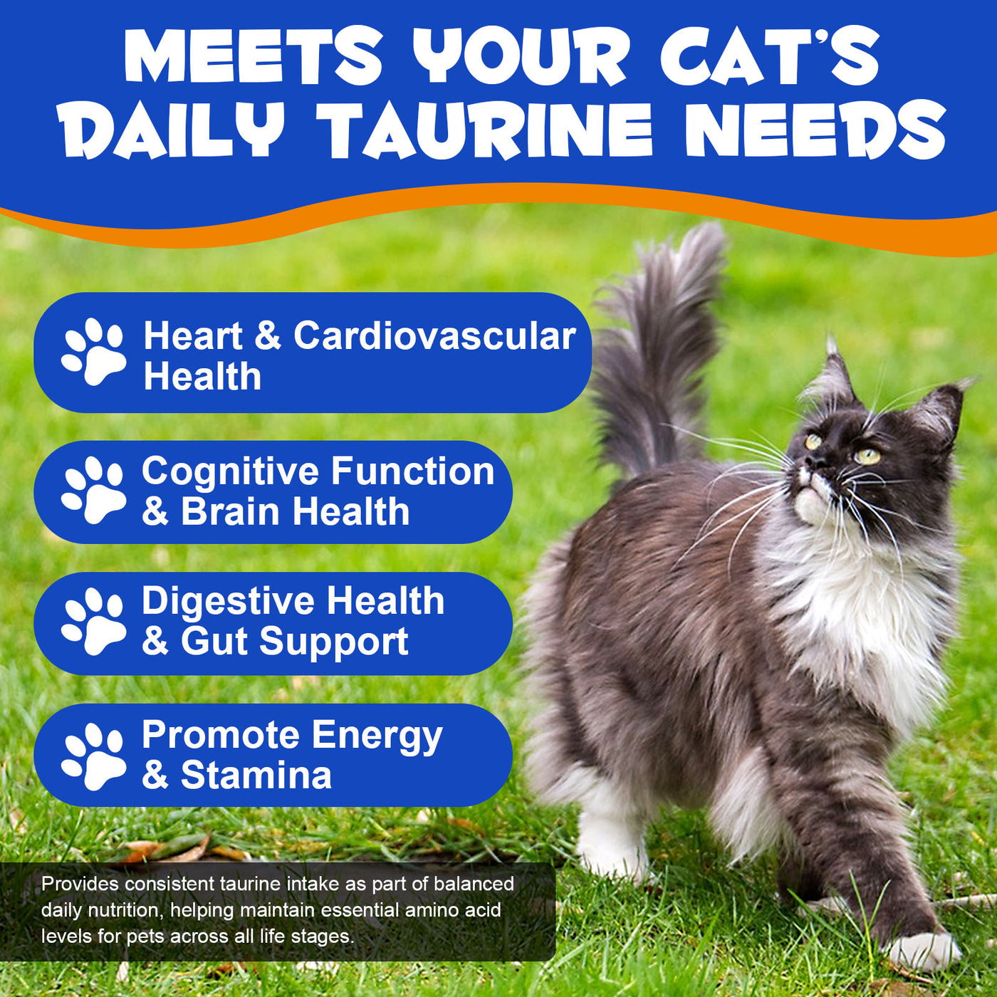 Oimmal Cat Taurine Powder - 1Pack