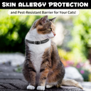 Oimmal Flea & Tick Collar for Cats (4 Collars) - Black