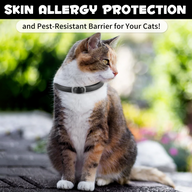 Oimmal Flea & Tick Collar for Cats (4 Collars) - Black