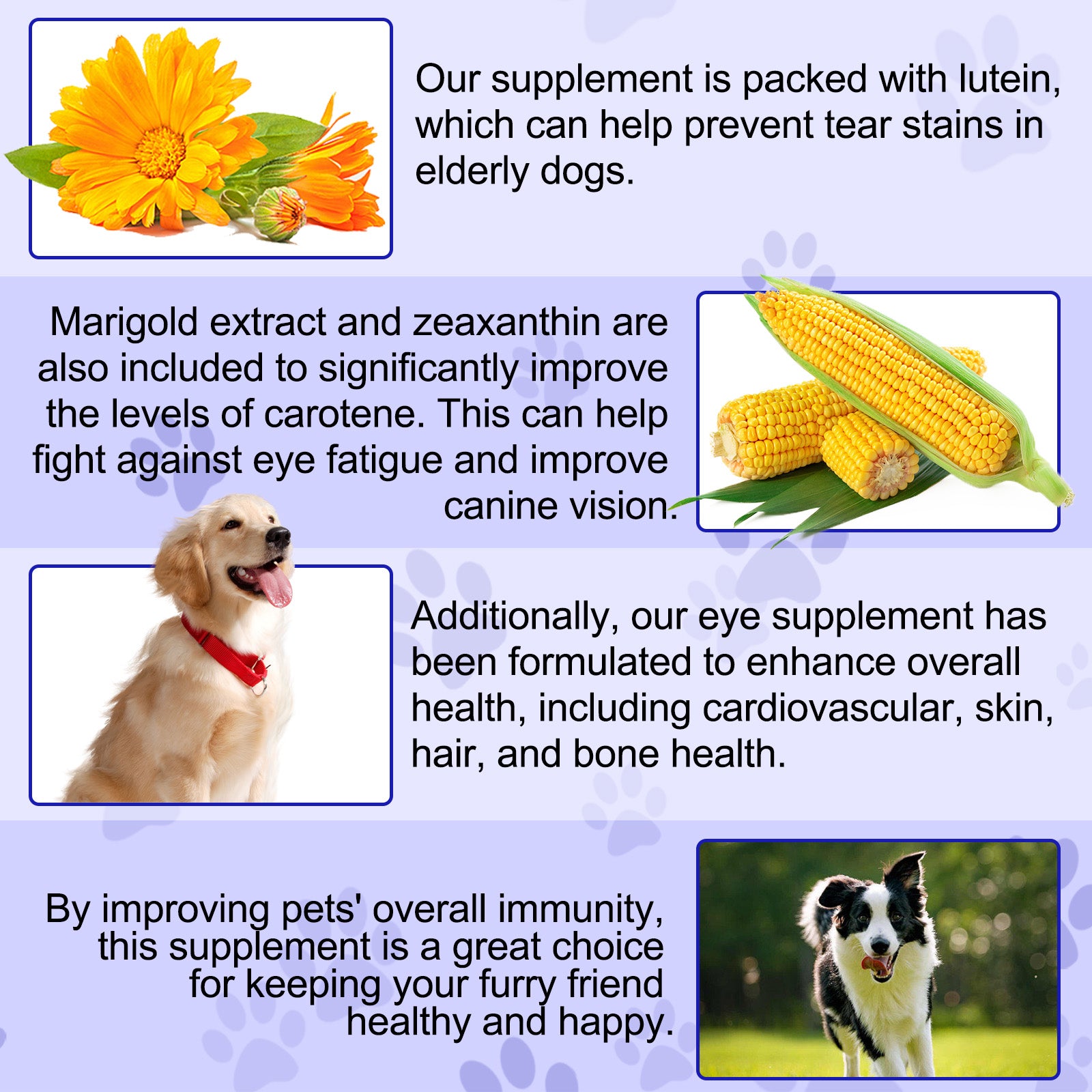 Oimmal Eye Care Supplement for Dogs