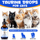 Oimmal Taurine Drops for Cat - 1Pack