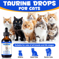 Oimmal Taurine Drops for Cat - 1Pack