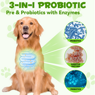 Oimmal 3-in-1 Probiotic Drops for Dogs - LOT of 2