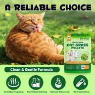 Oimmal Cat Grass Pellets 80g - 1Pack