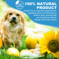 Oimmal Liquid Vitamin D Drops for Dogs