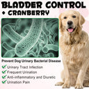Oimmal 150pcs Dog Bladder Control Chews (Peking Duck Flavor) - 2Pack