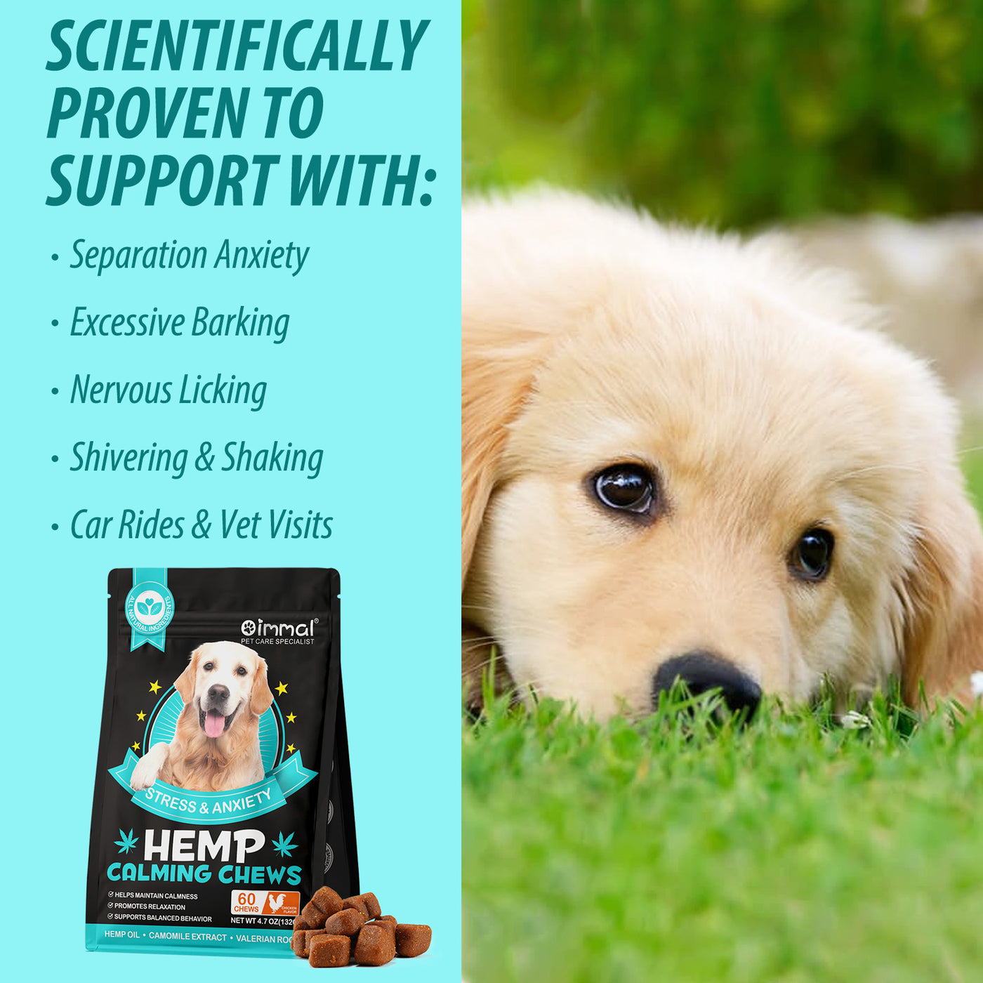 Oimmal Hemp Calming Chews - 60 Chews / Chicken Flavor