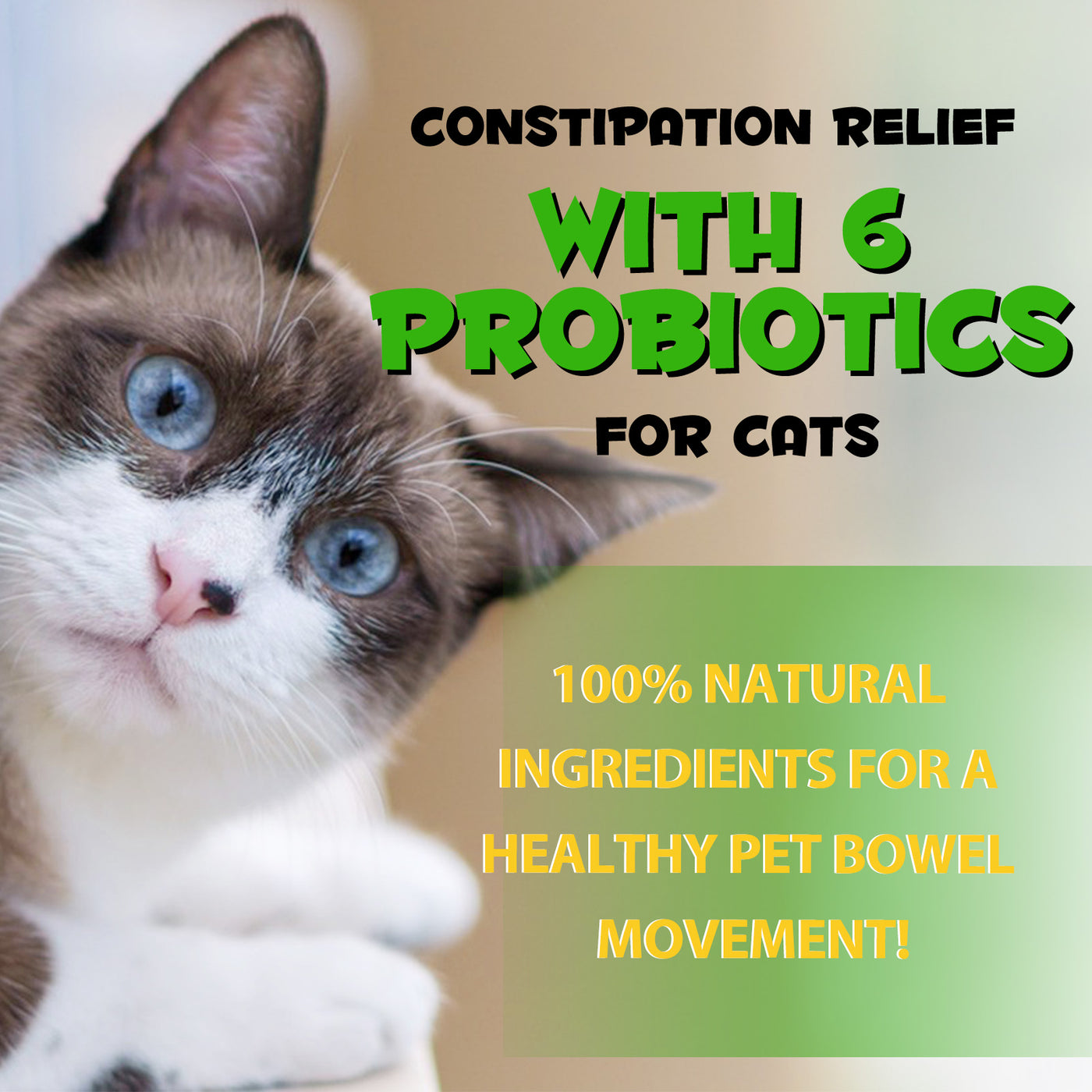 Oimmal Constipation Relief Drops for Cat