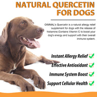 Oimmal Quercetin For Dogs