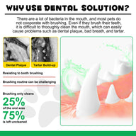 Oimmal 6-in-1 Canine Dental Solution