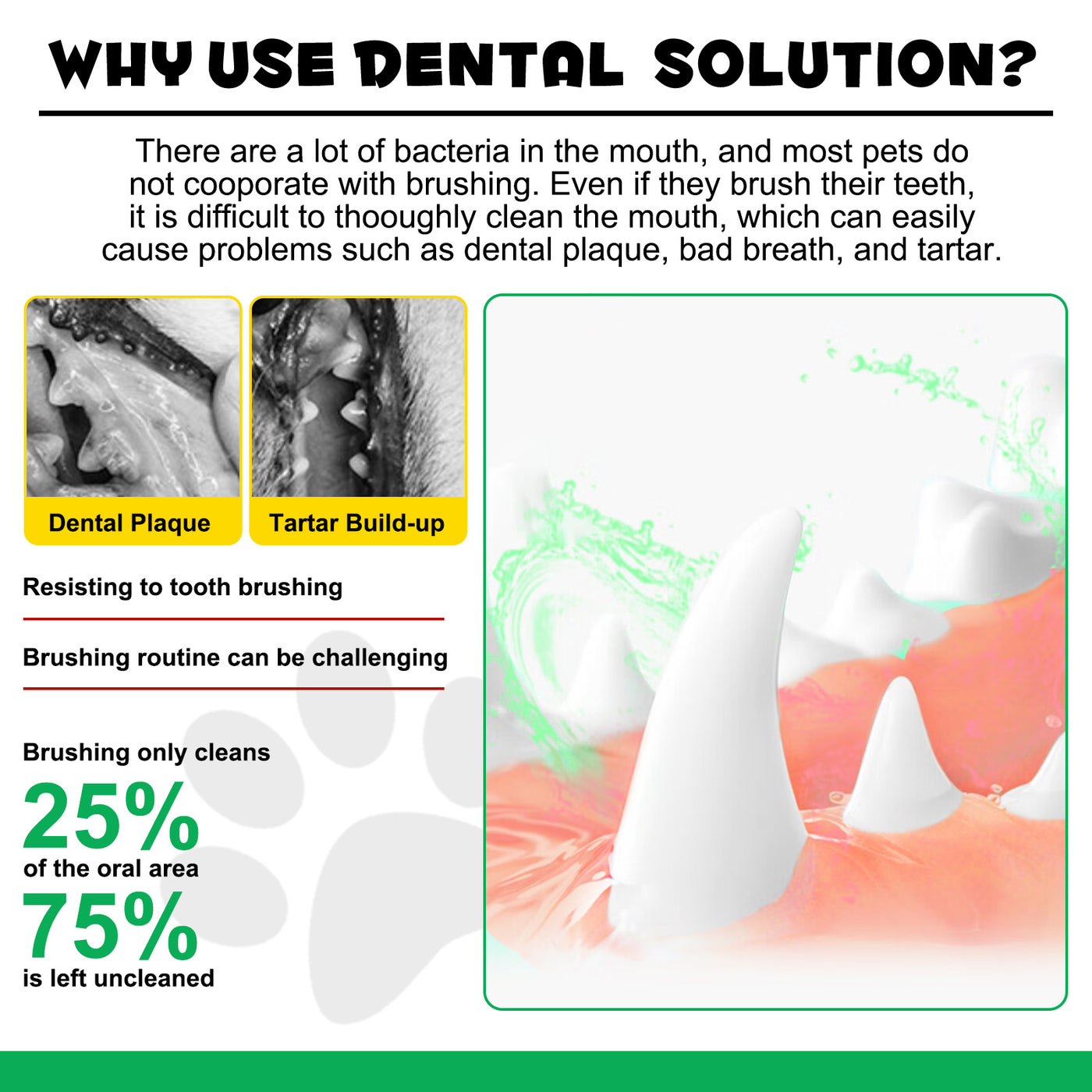 Oimmal 6-in-1 Canine Dental Solution