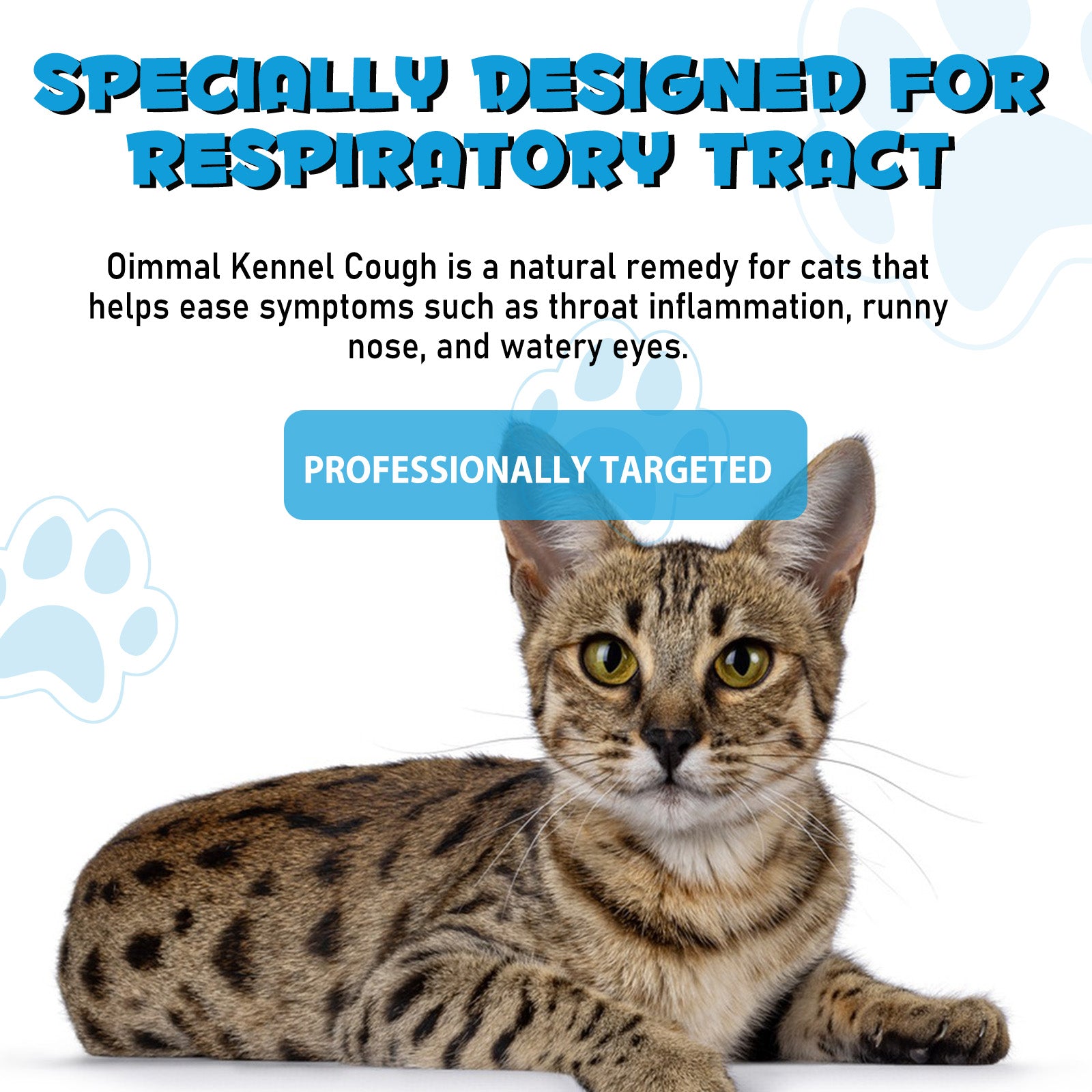 Oimmal Kennel Cough Treatment for Cats