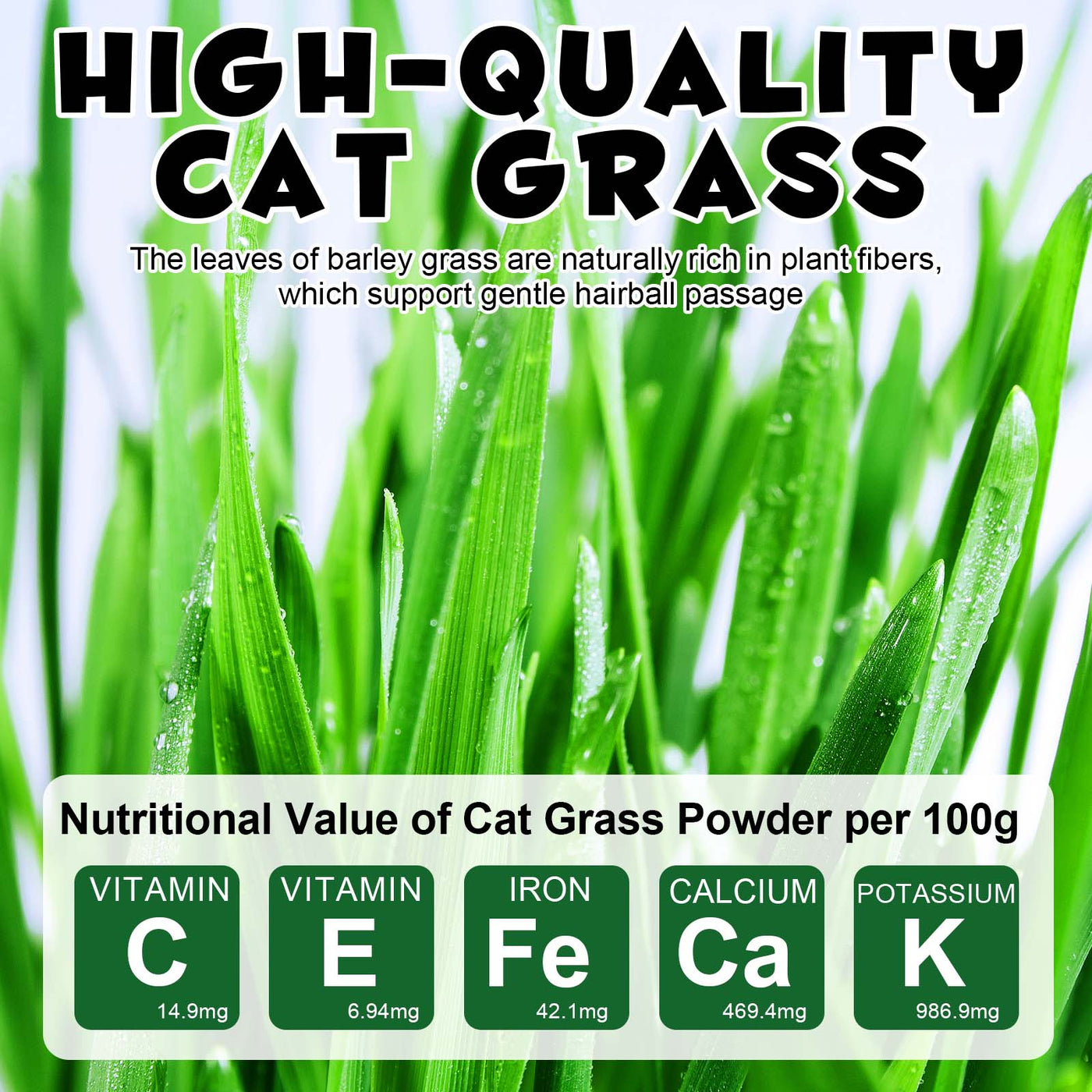 Oimmal Cat Grass Stick 60g - 1Pack