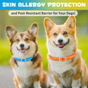 Oimmal Flea & Tick Collar for Dogs (4 Collars) - Blue&Orange