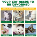 Oimmal Flea & Tick Prevention (6P) - 2Pack