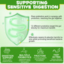 Oimmal Dog Probiotics Powder 120g - 1Pack