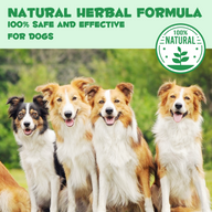 Oimmal Herbal De-Wormer Drops for Dogs