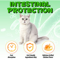 Oimmal Constipation Relief Drops for Cat - 2Pack