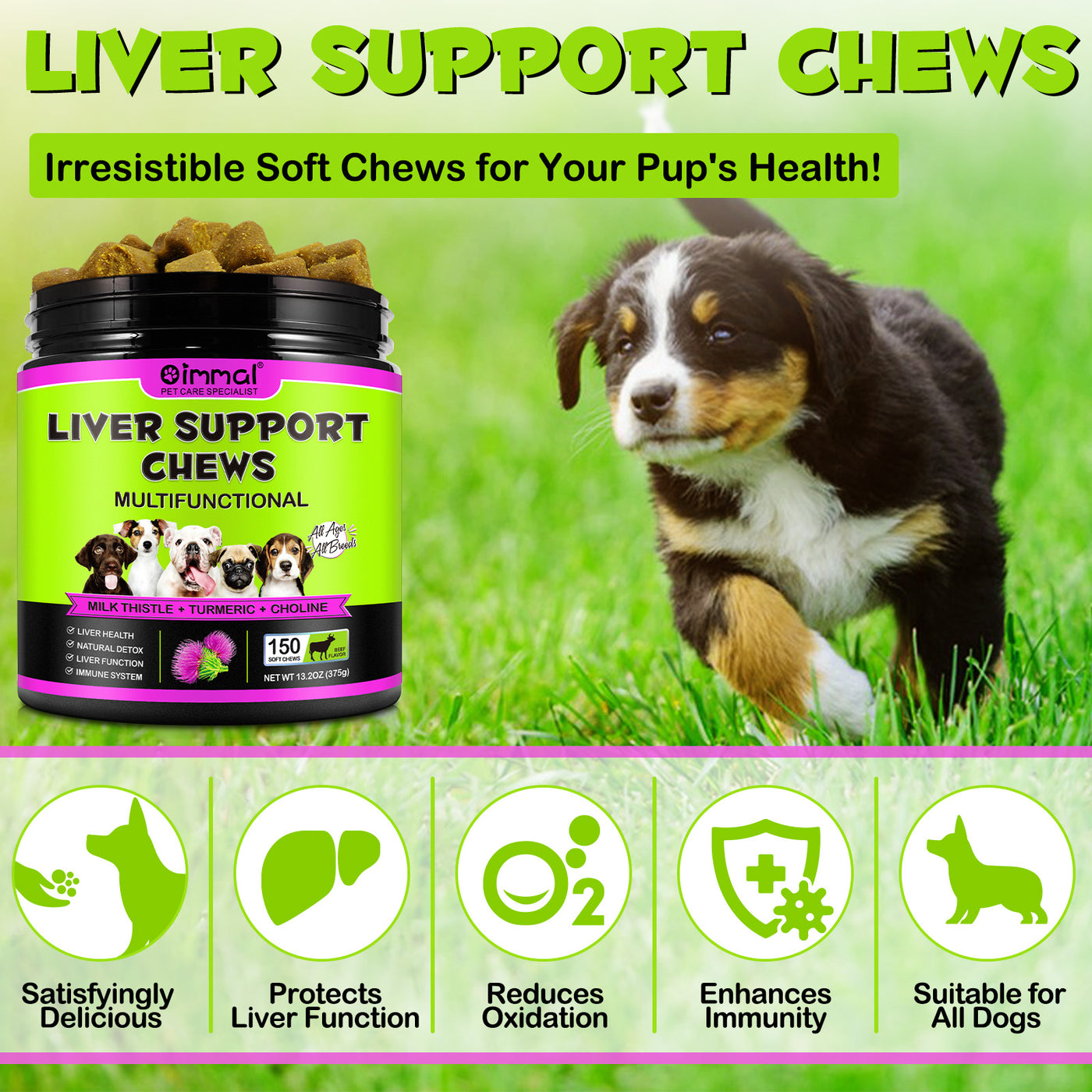 Oimmal 150pcs Dog Liver Support Chews