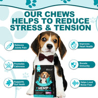 Oimmal Hemp Calming Chews - 60 Chews / Beef Flavor