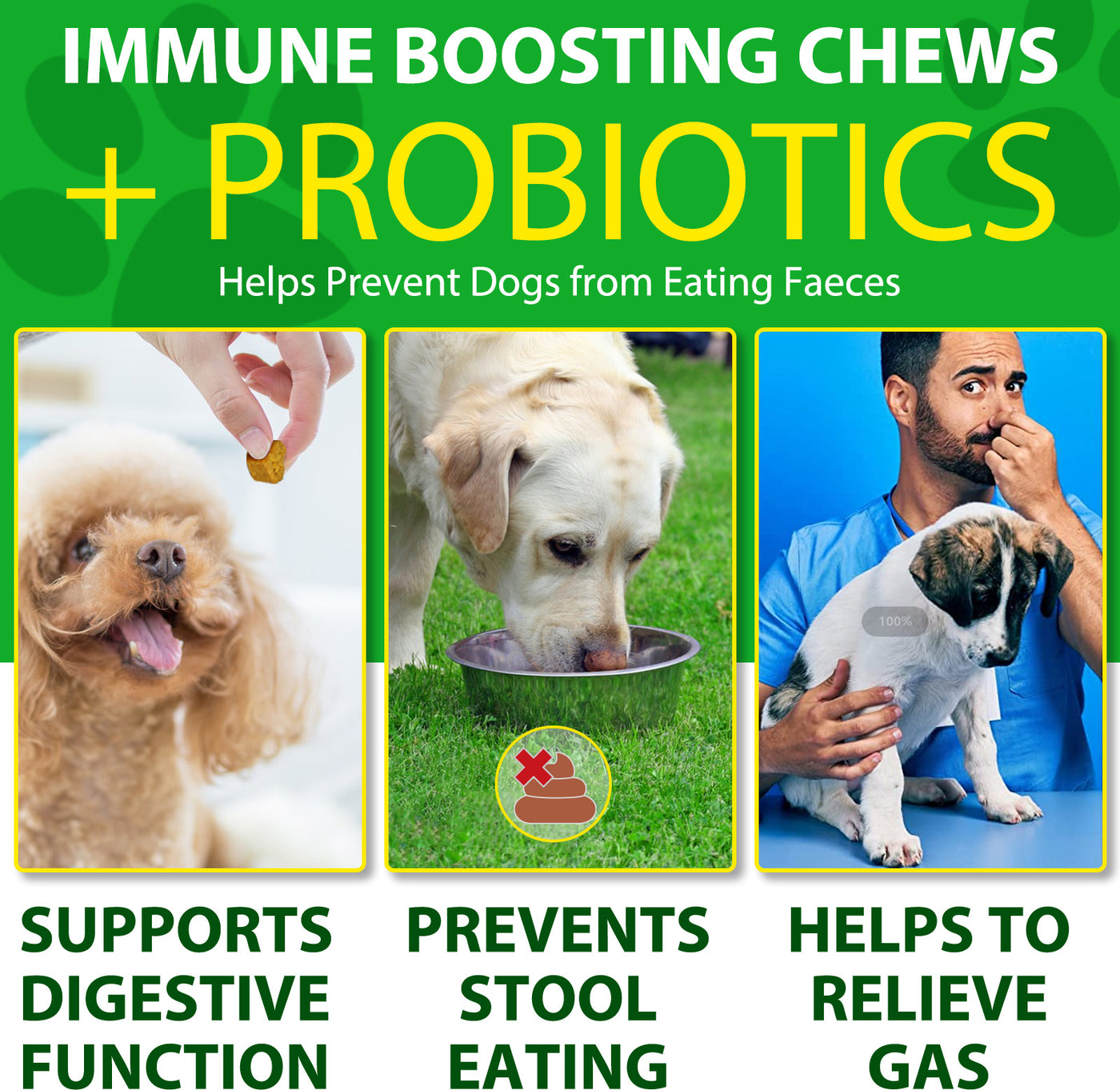 Oimmal No Poo +Probiotics Immune Chews - 2 Packs