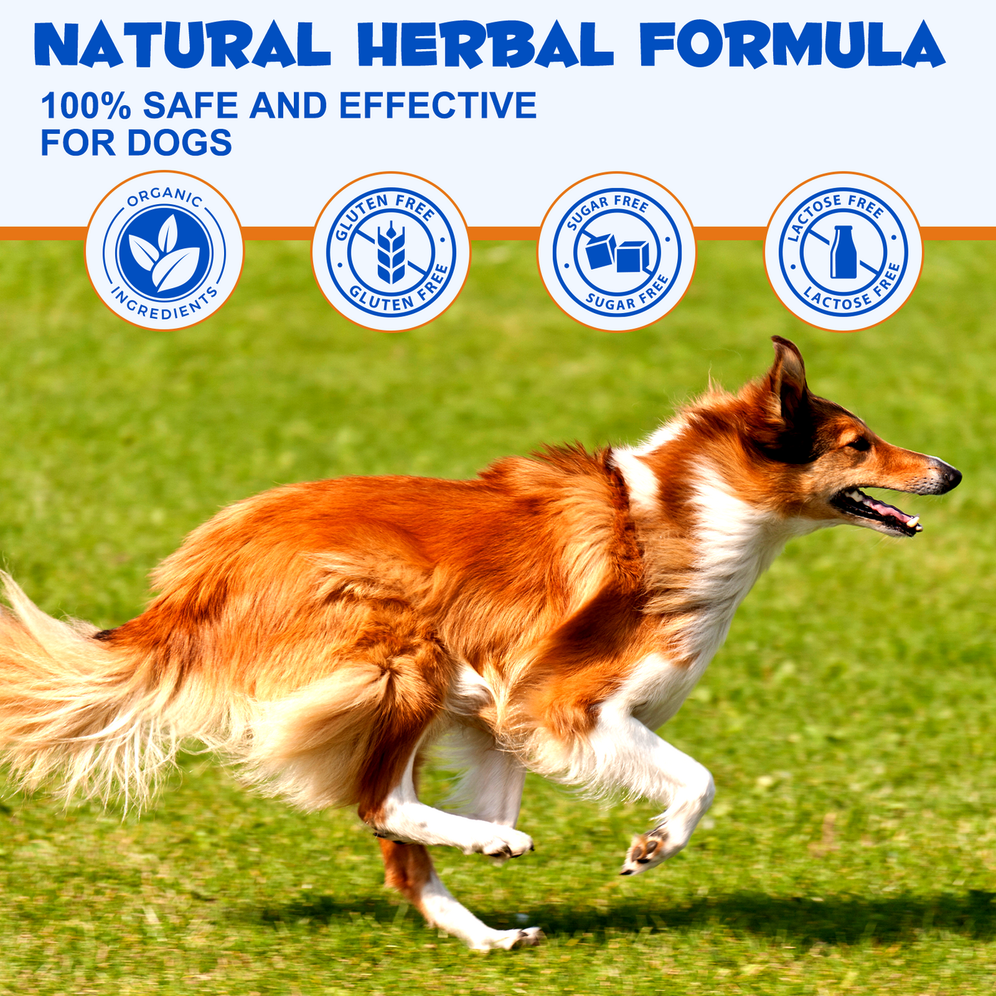 Oimmal Joint Aid & Relief Drops for Dogs