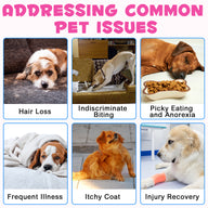 Oimmal Collagen Drops for Dogs