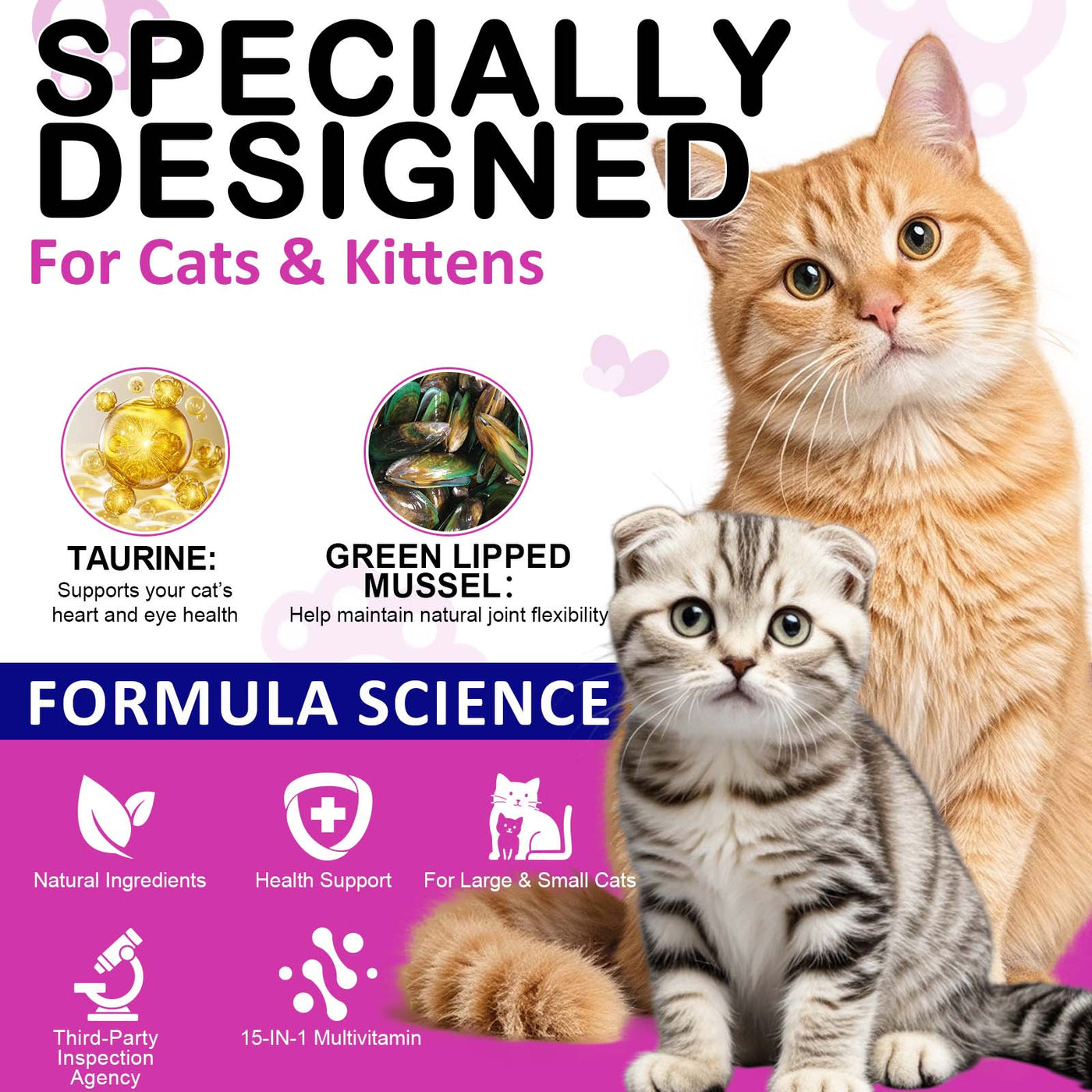 Oimmal Cat 15in1 Multivitamin Chews 100g - 2Pack