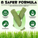 Oimmal Cat Grass Stick 60g - 1Pack
