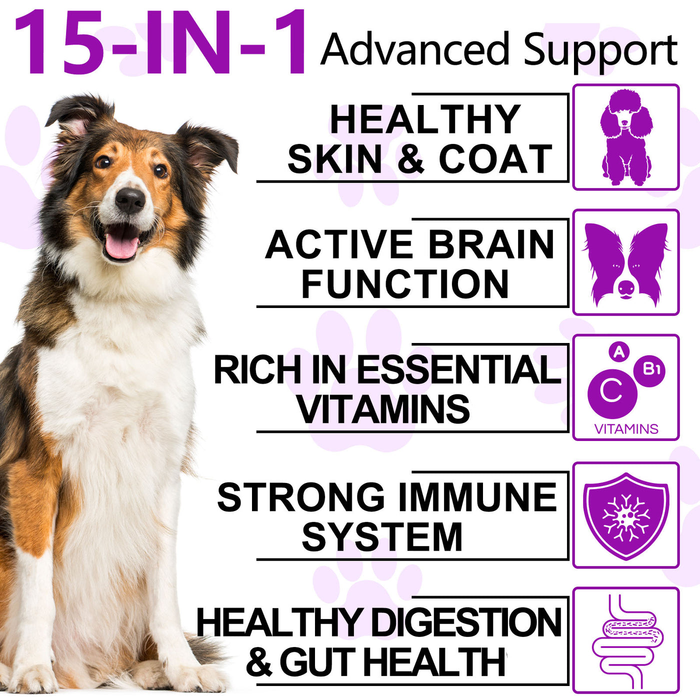 Oimmal 15in1 MULTIVITAMIN+HIP & JOINT+SKIN & COAT- 3 Packs