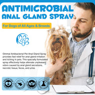 Oimmal Antimicrobial Anal Gland Spray for Dog