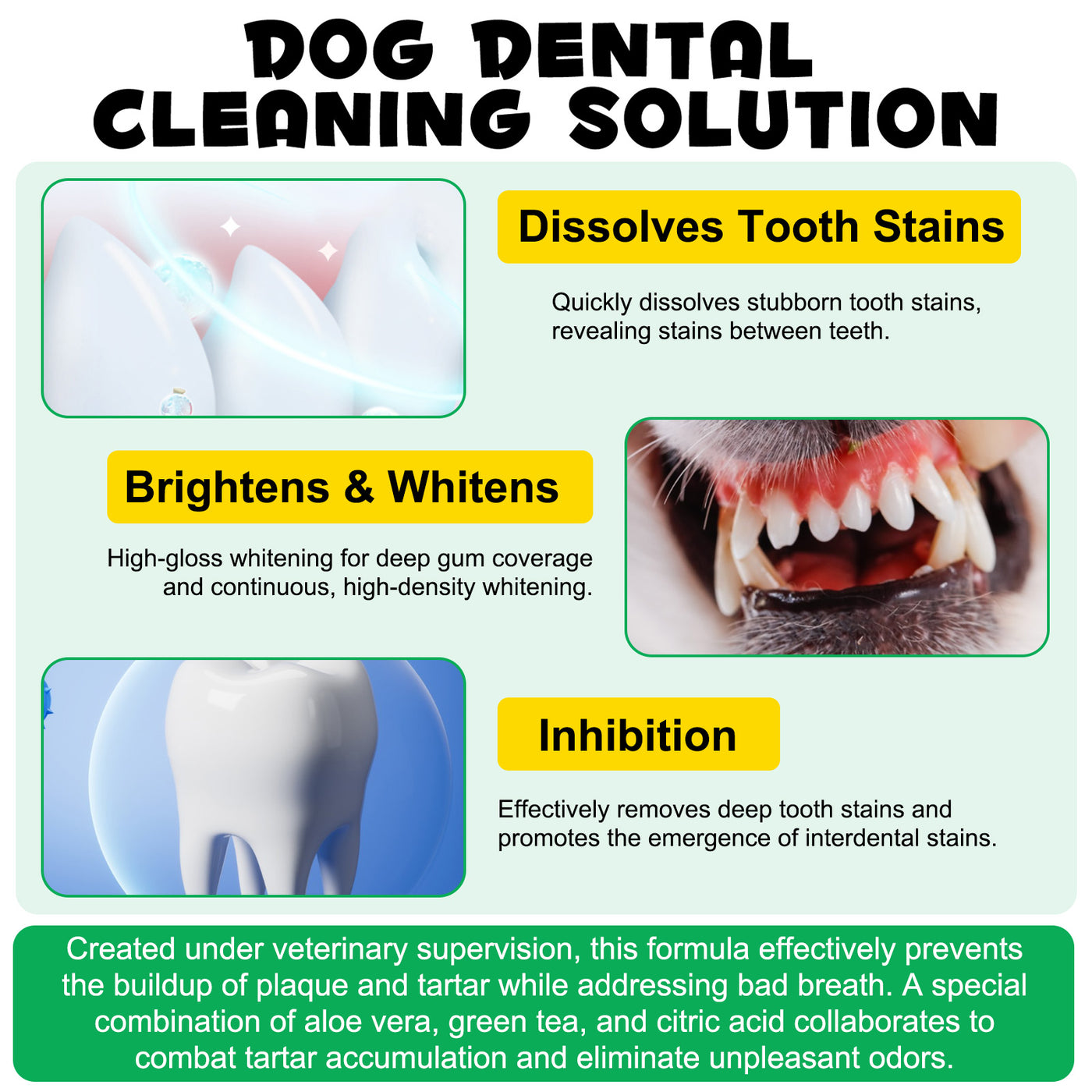 Oimmal 6-in-1 Canine Dental Solution