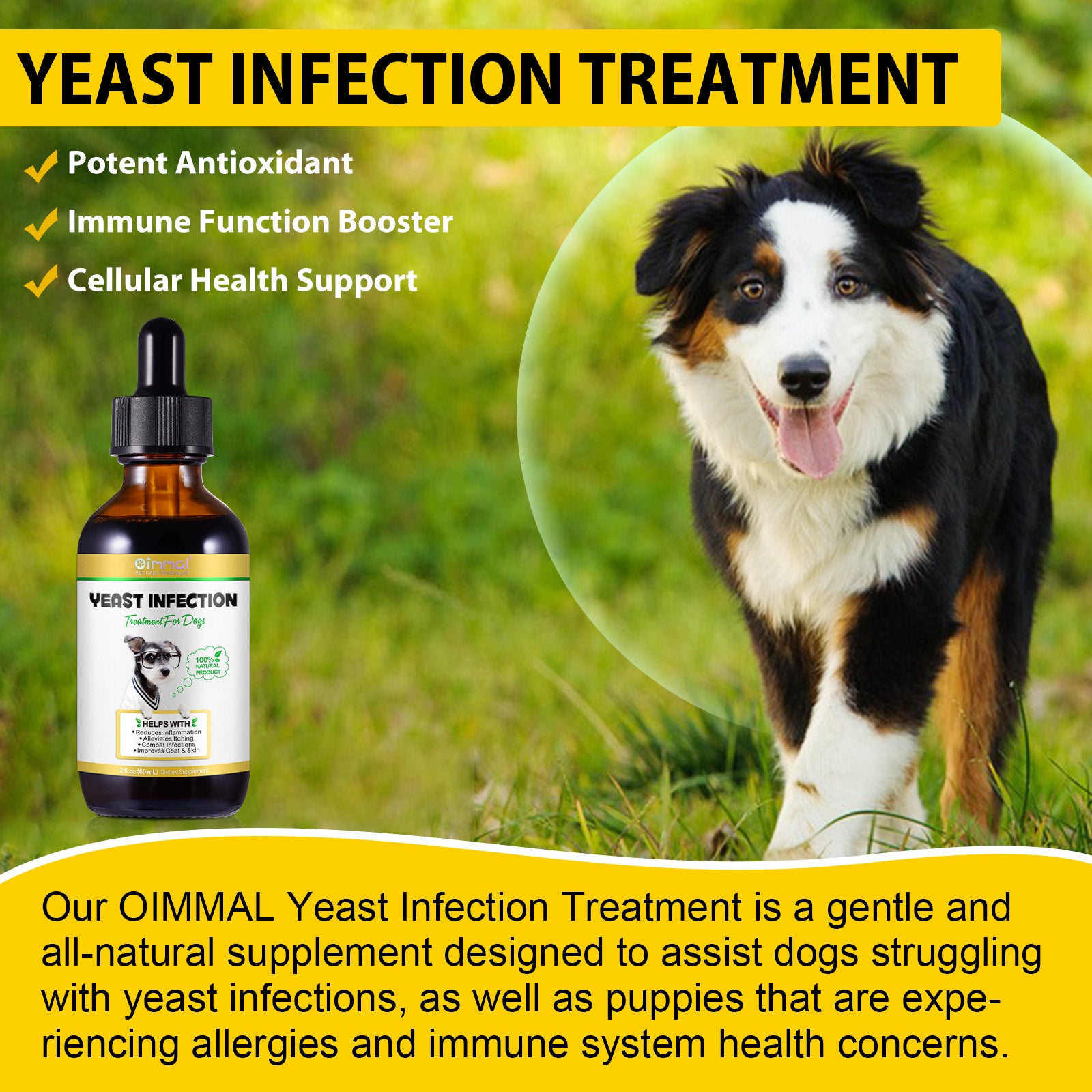 Oimmal Yeast Infection Treatment Drops for Dogs oimmal